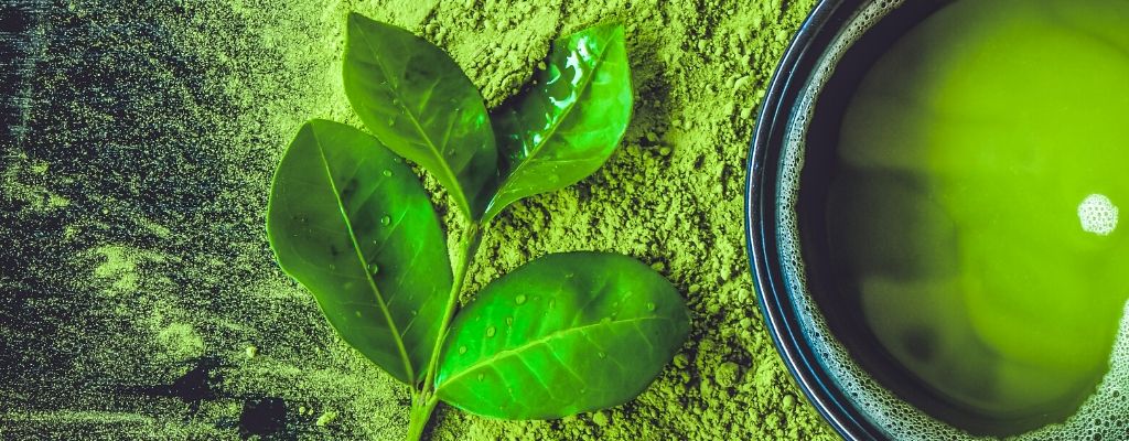 matcha leaf grounded into powdered form