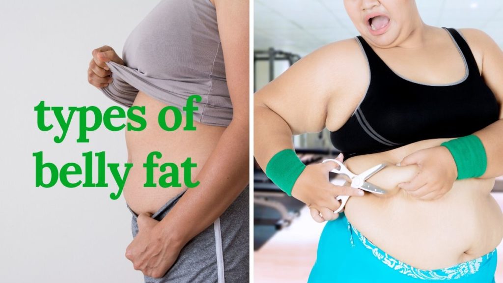 types of belly fat