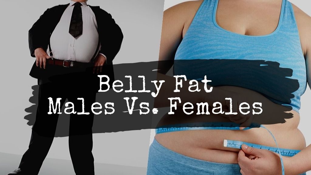what causes belly fat in males vs females